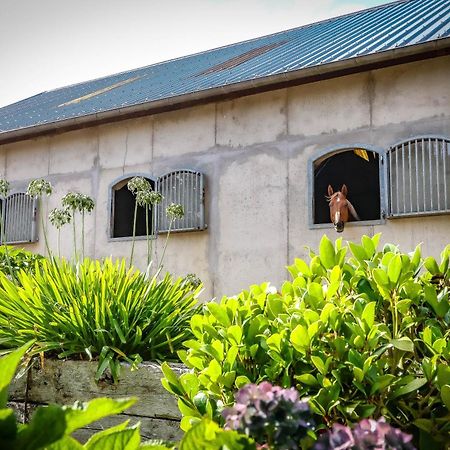 Le Cottage De La Doucette 潘蓬 外观 照片